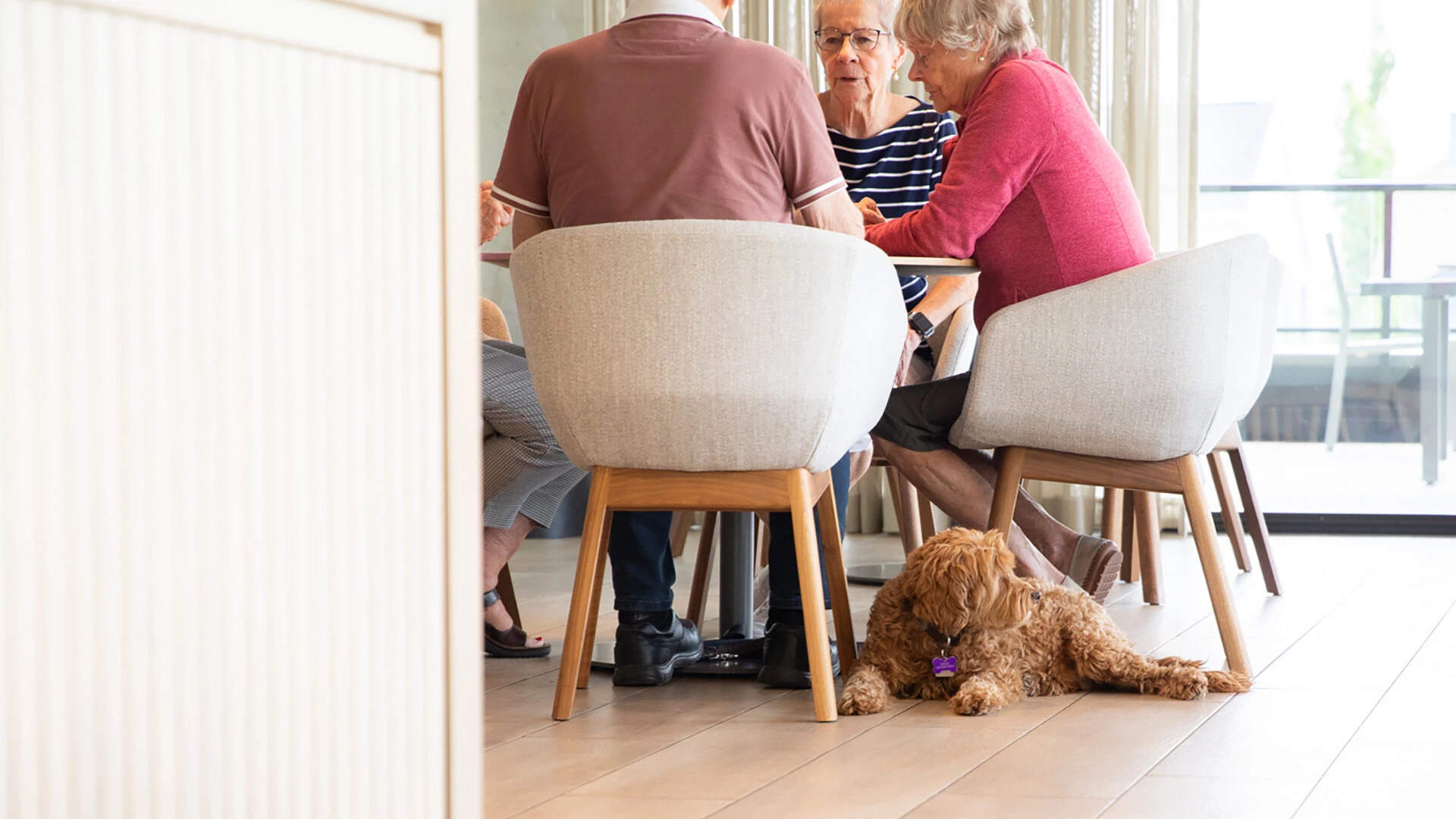 A group of seniors playing a game around a table with a dog sleeping by their feet